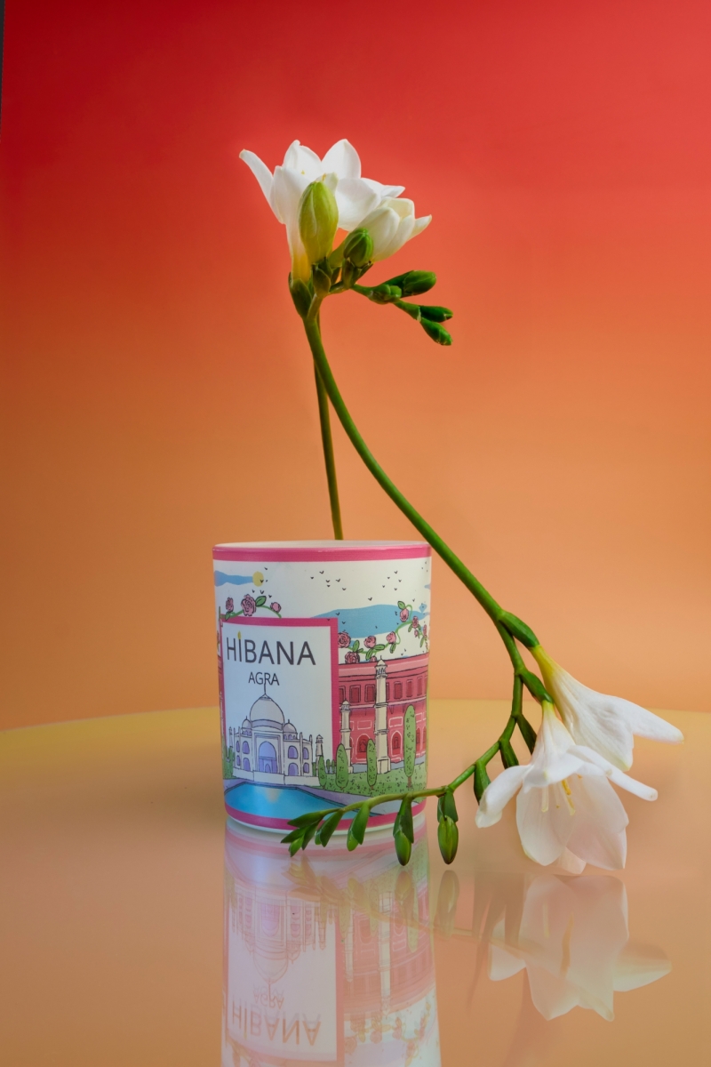 Hibana, notre histoire